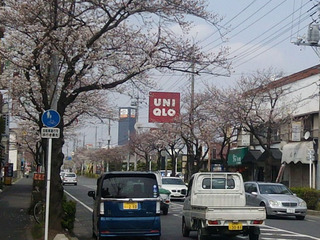 075-20130323.jpg