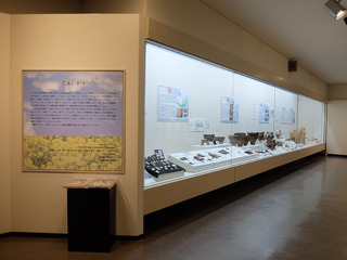 DSCF1909-20180113.jpg