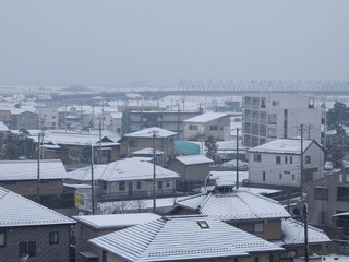 DSCF2432-20180202.jpg
