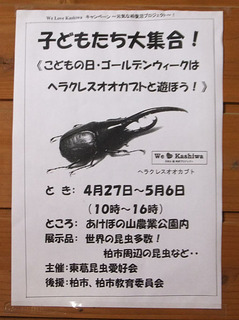 DSCF3502-20130427.jpg
