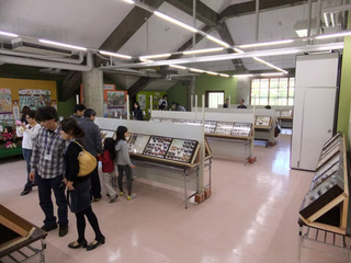 DSCF3512-20130427.jpg