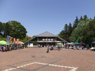 DSCF3514-20130427.jpg