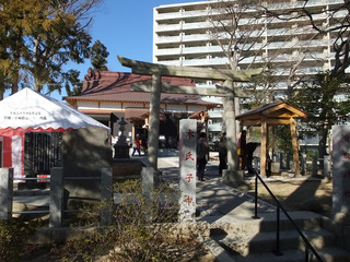 DSCF4904-20190101.jpg