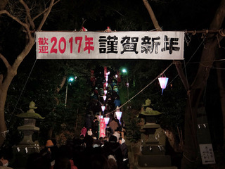 DSCF6919-20170101.jpg