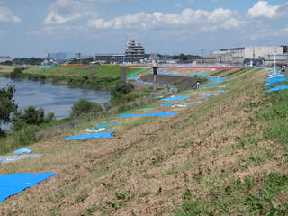 DSCF7363-20160826.jpg