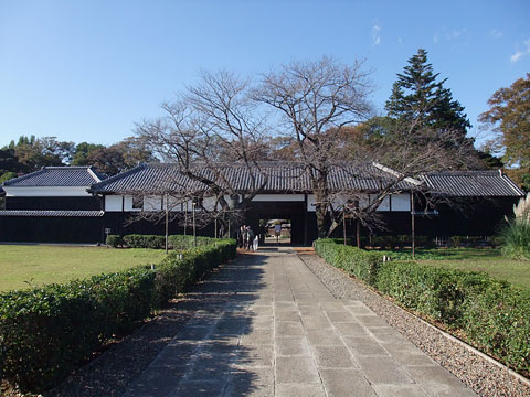 DSCF9777.jpg