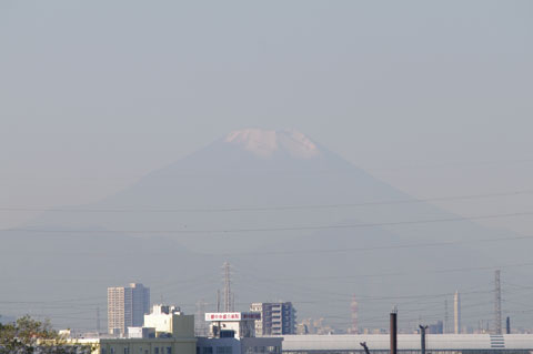 IMGP0005-20101111.jpg