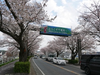 P1000112-20230330.JPG