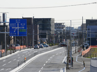 P1210831-20200326.jpg