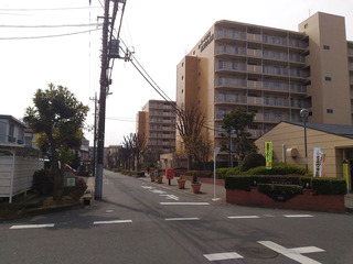 P_20170305_112647.jpg
