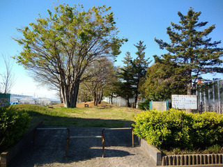 P_20190416_154741.jpg